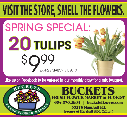 Great Special for March.  Bring in the spring with a beautiful bouquet of assorted tulips
